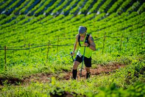 BIB: 
                            <button type="button" onclick="openModal(19161523)" class="btn btn-primary btn-sm float-right btn-popup" data-toggle="modal" data-target=".modal-high-quality">
                        <i class="fas fa-shopping-cart"></i> Add to Cart
                    </button>
                                            <button type="button" onclick="isThisMe(19161523, true)" class="btn btn-success btn-sm float-right btn-popup btn-isme hidden" data-toggle="tooltip" data-placement="bottom" title="นี่คือรูปของคุณใช่ไหม คลิกที่นี่เพื่อเอาเข้าอัลบั้ม">
                        <i class="fas fa-plus"></i> Add to album
                    </button>
                    <button type="button" onclick="isThisMe(19161523, false)" class="btn btn-warning btn-sm float-right btn-popup btn-isnotme hidden">
                        <i class="fas fa-ban"></i> Remove from album
                    </button>